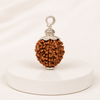 Original 12 Mukhi Rudraksha With Silver Capping