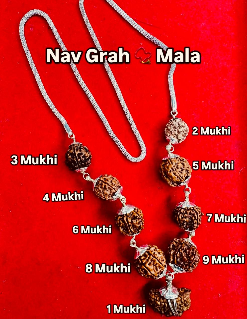 Navgraha Rudraksha Mala (1–9 Mukhi) - ENERGISED
