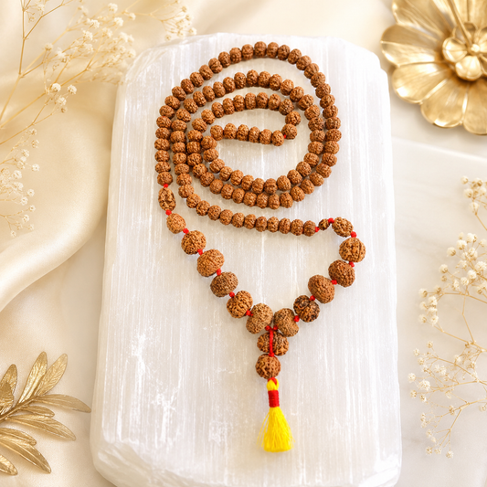 Rudraksha Siddh Mala 1 - 14 Rudraksha ( Indonesian )