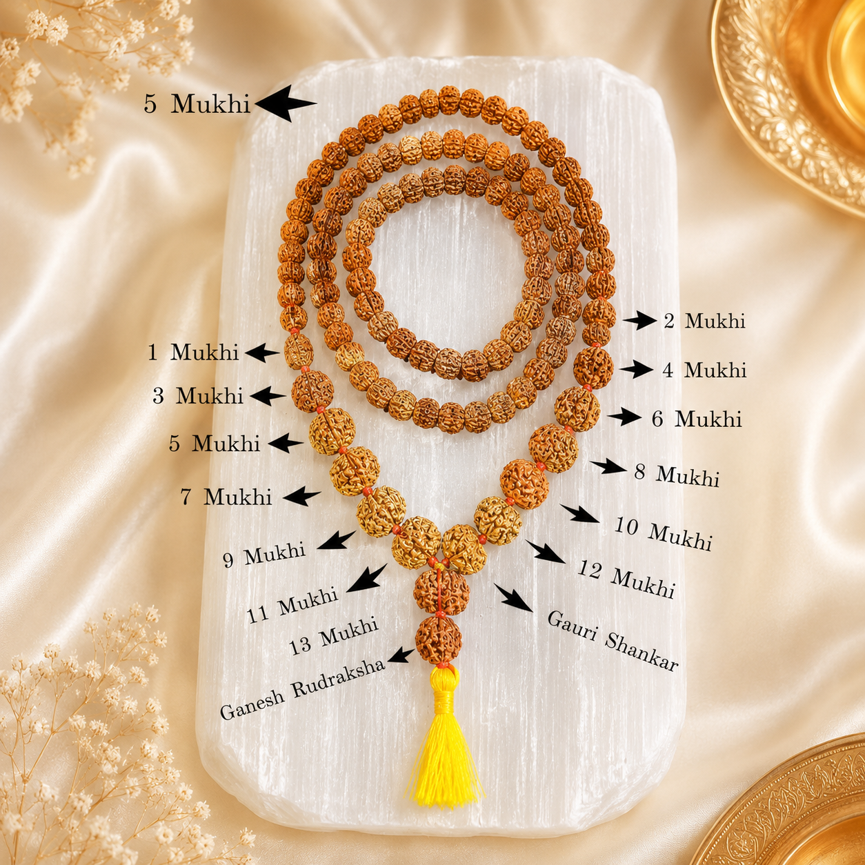 Rudraksha Siddh Mala 1 - 14 Rudraksha ( Indonesian )