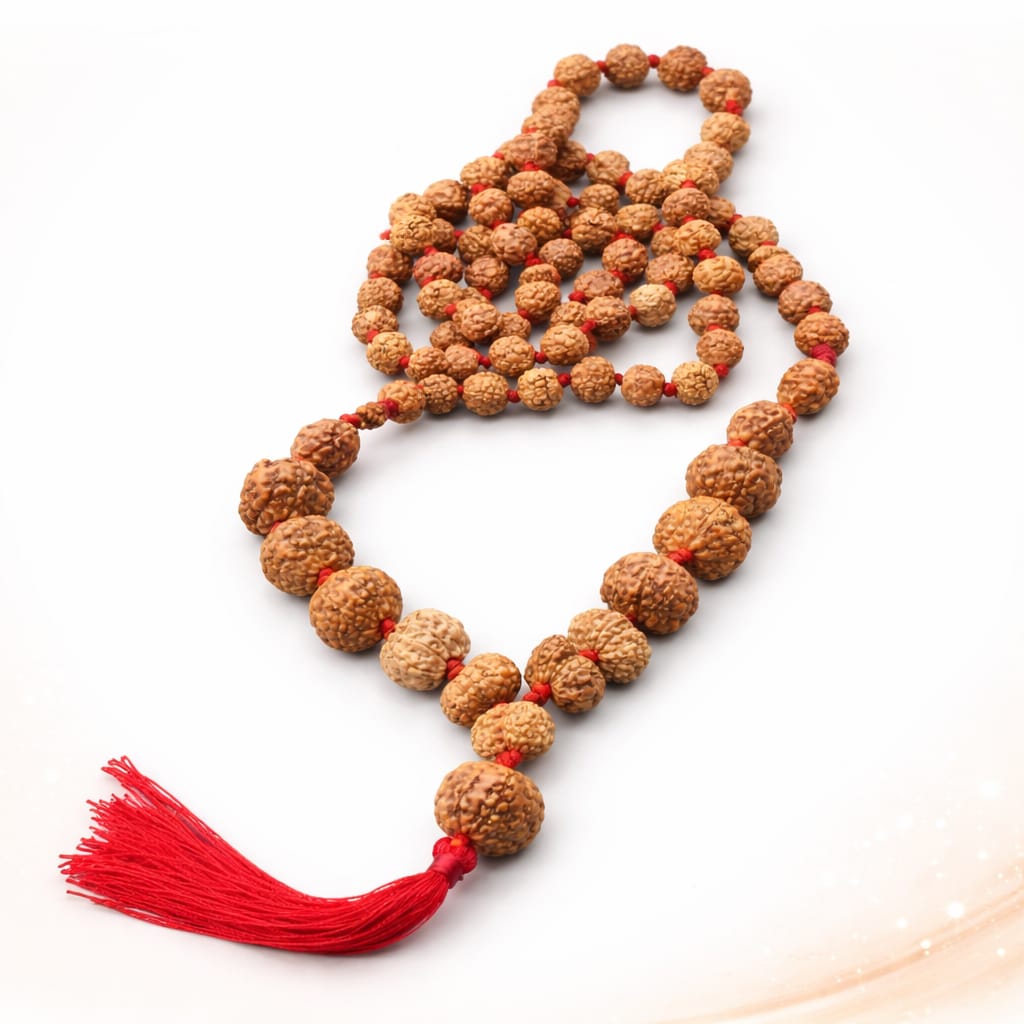 Rudraksha Siddh Mala 1 - 14 Rudraksha ( Indonesian )