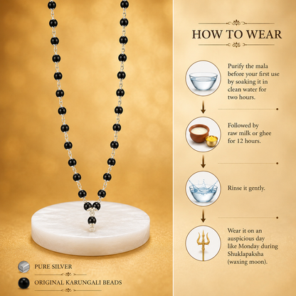 The Original Karungali Mala (In Pure Silver)