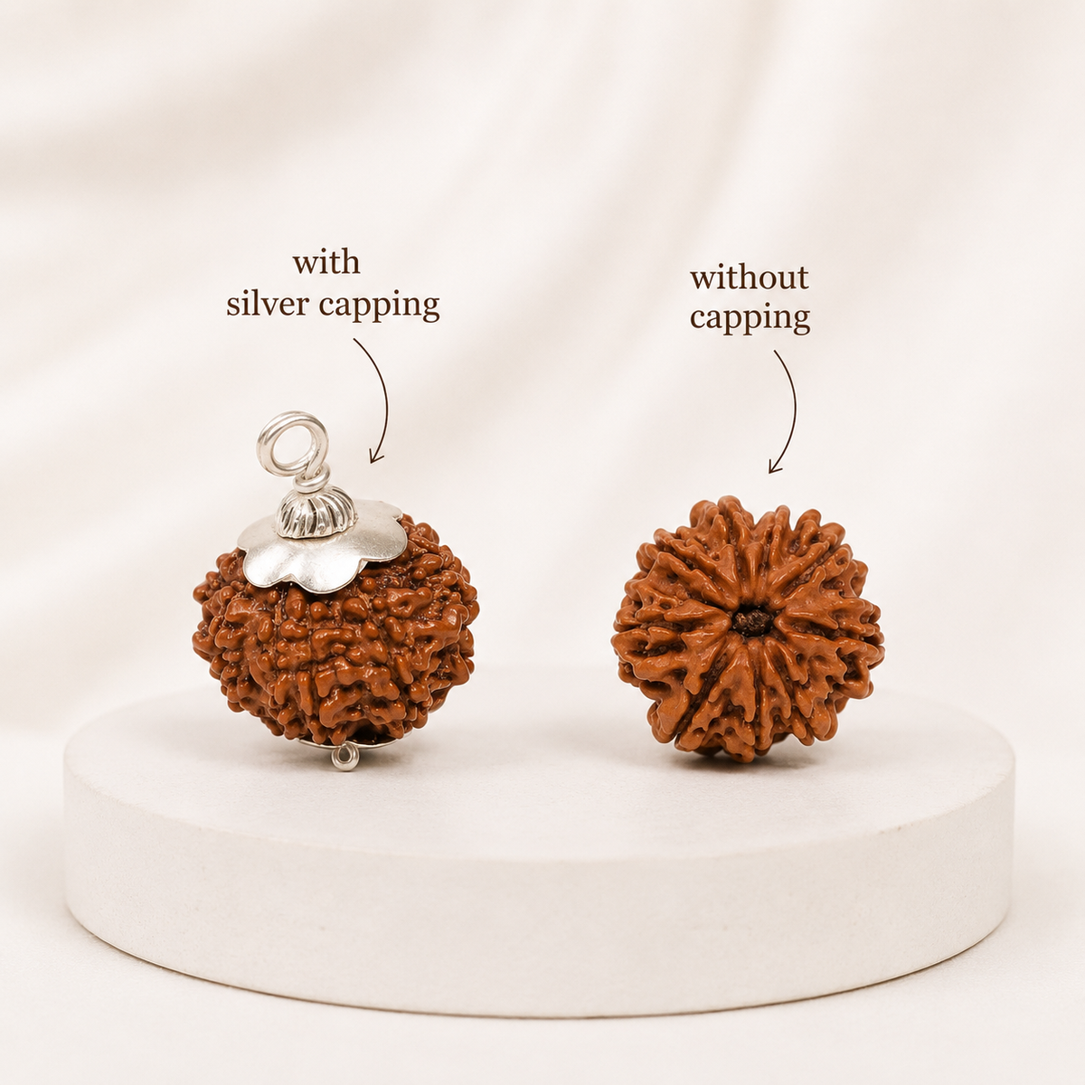 Authentic 9 Mukhi Rudraksha