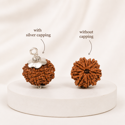 Authentic 9 Mukhi Rudraksha