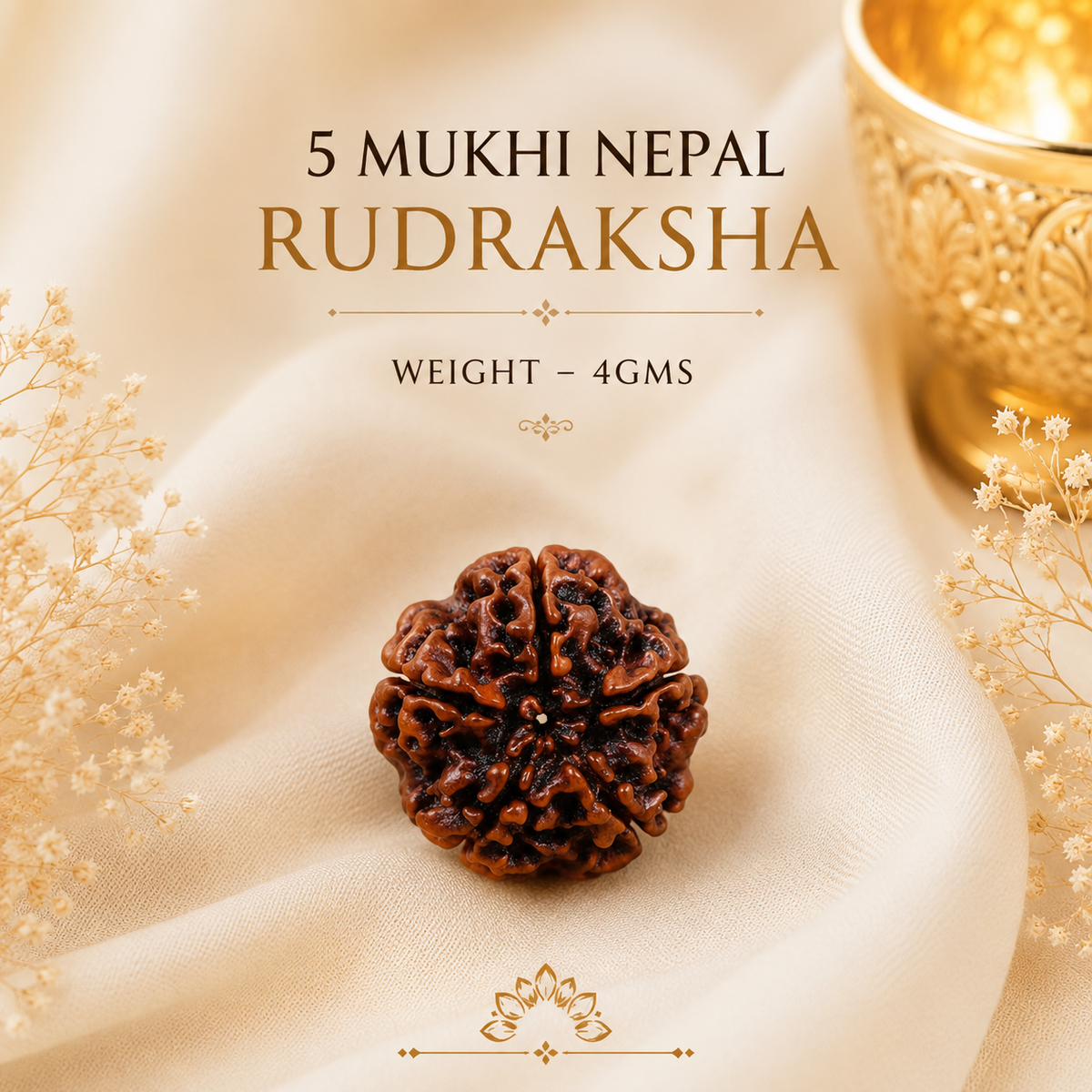 Authentic 5 Mukhi (Five-Faced) Nepal Rudraksha
