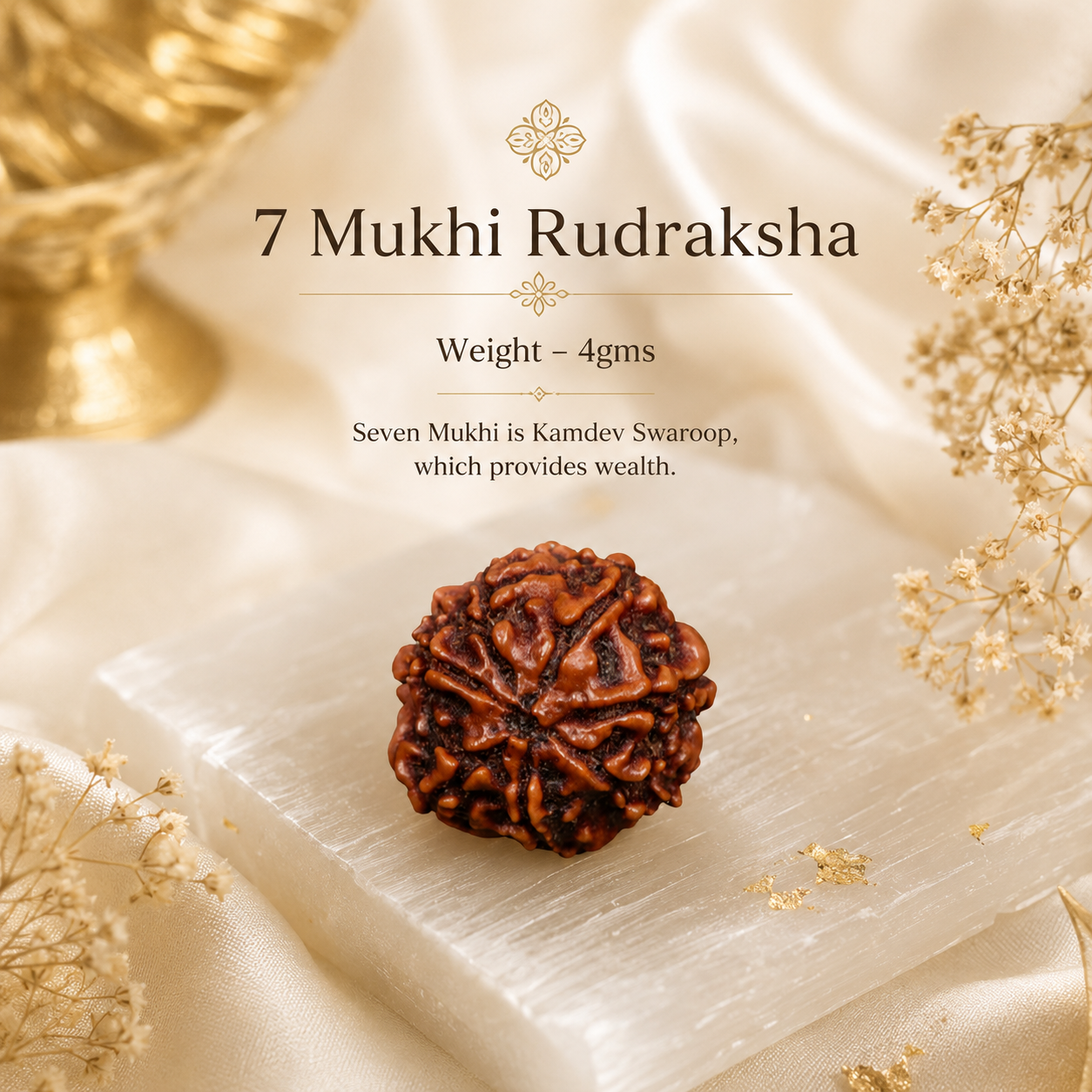 Authentic 7 Mukhi (Seven-faced) Nepal Rudraksha