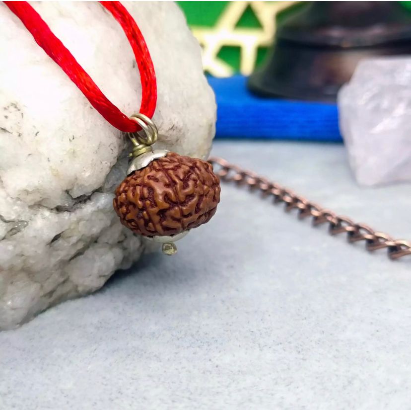 Authentic 9 Mukhi Rudraksha