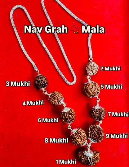 Navgraha Rudraksha Mala (1–9 Mukhi) - ENERGISED