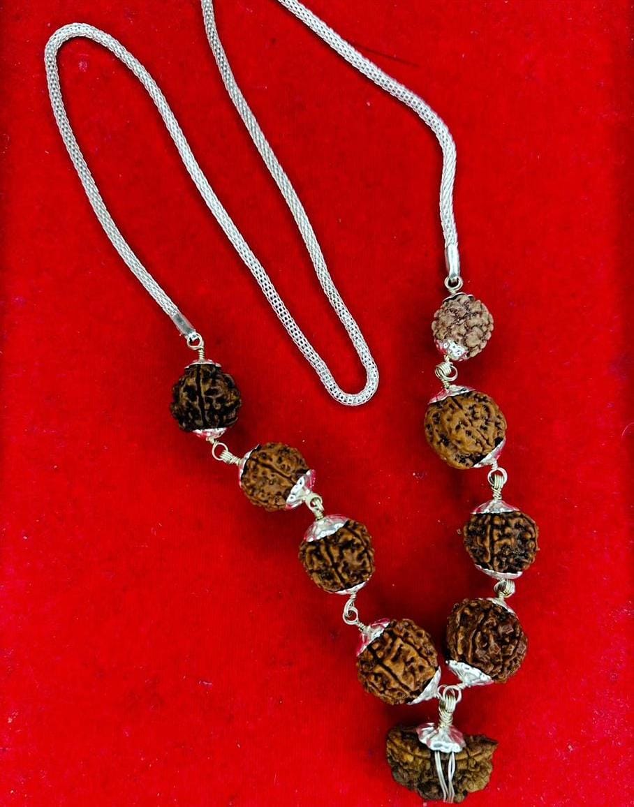 Navgraha Rudraksha Mala (1–9 Mukhi) - ENERGISED