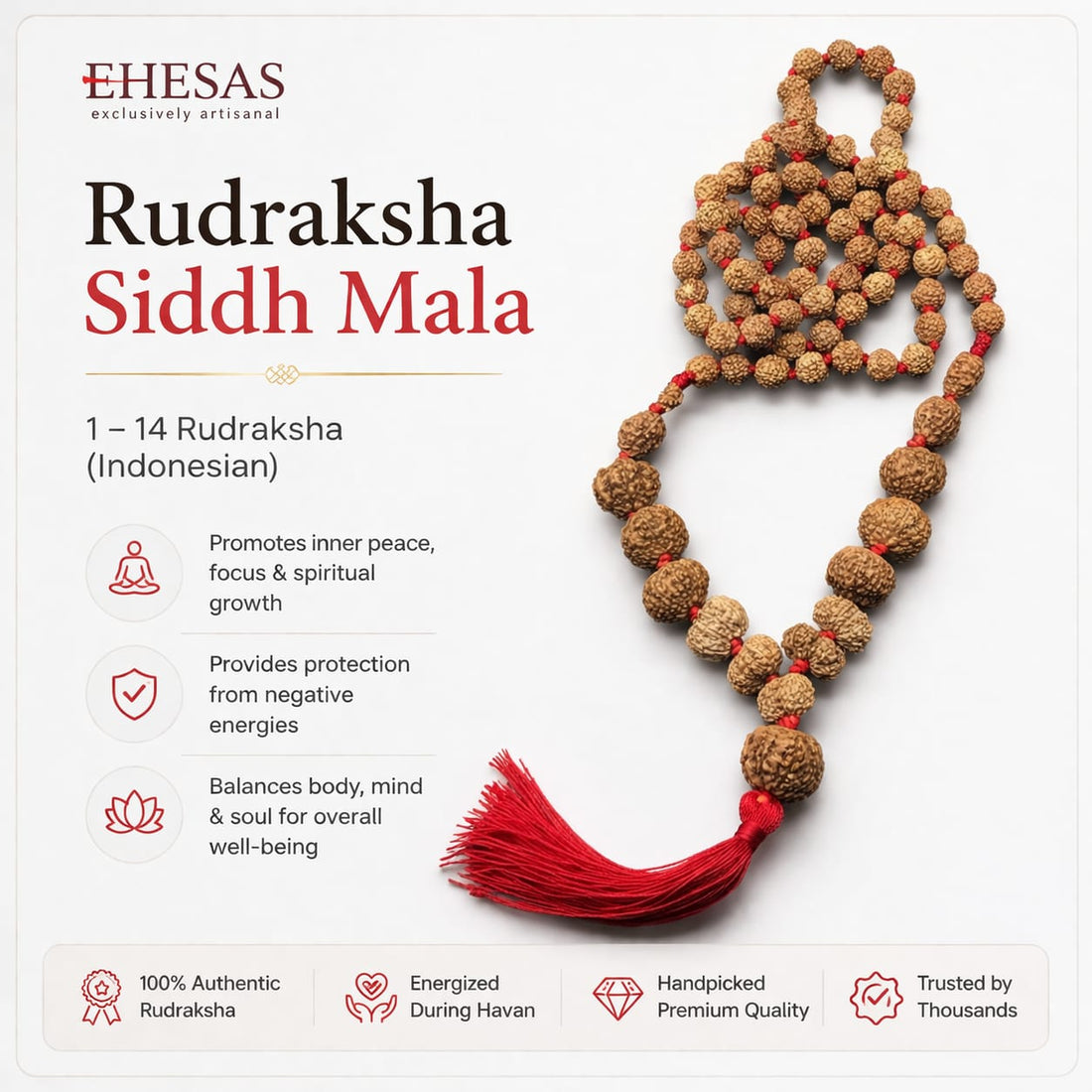 Rudraksha Siddh Mala 1 - 14 Rudraksha ( Indonesian )