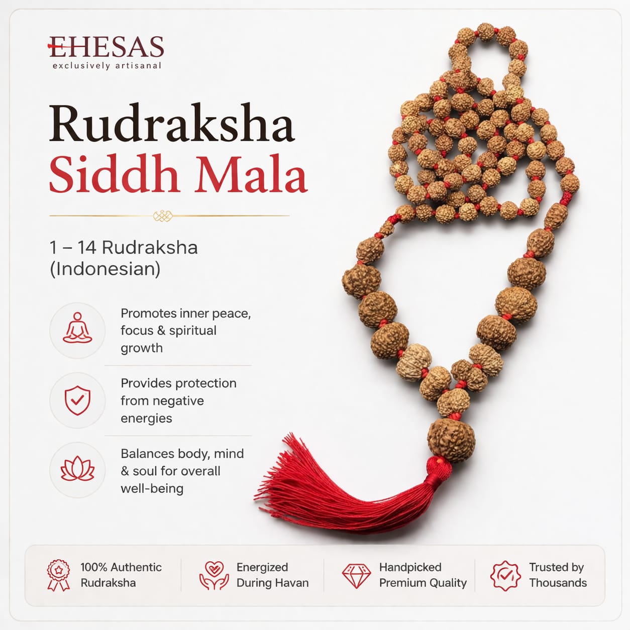 Rudraksha Siddh Mala 1 - 14 Rudraksha ( Indonesian )